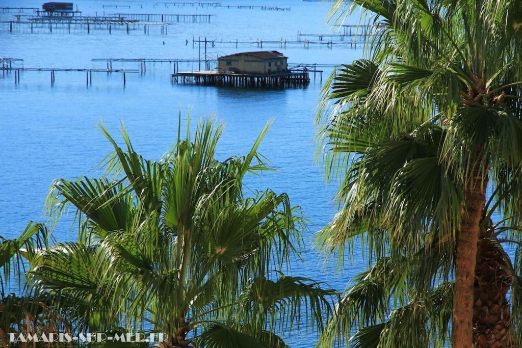 Port Tamaris, Le Troisieme Daire La Seyne-sur-Mer Dış mekan fotoğraf